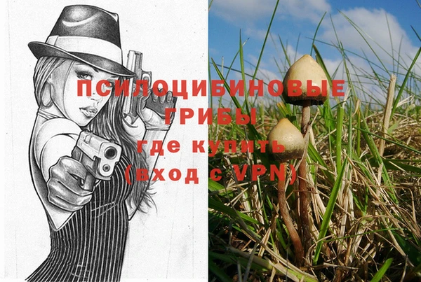 ешки Арсеньев