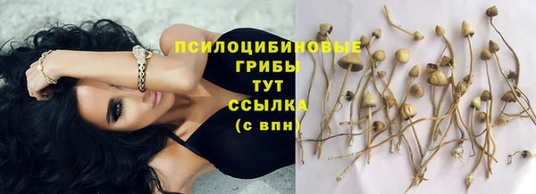 MDMA Premium VHQ Армянск