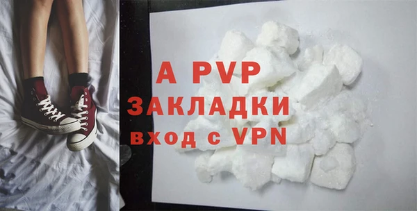 гидра Аркадак