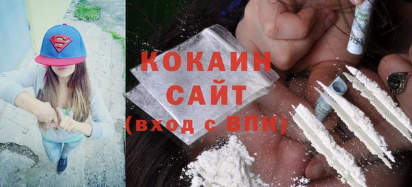 гидра Аркадак