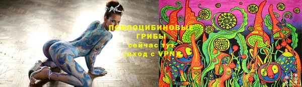 ешки Арсеньев