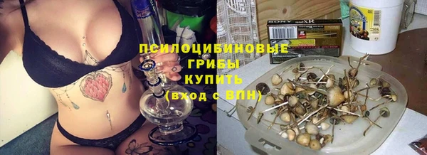 ешки Арсеньев