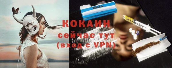 МДПВ Инта
